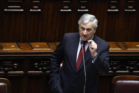 Antonio Tajani, salario minimo 